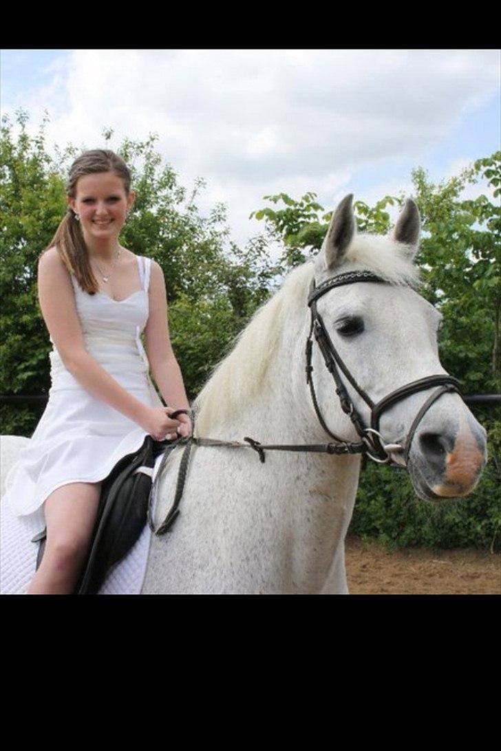 Anden særlig race Josephine - min konfirmation, jose var selvfølgelig med. billede 2