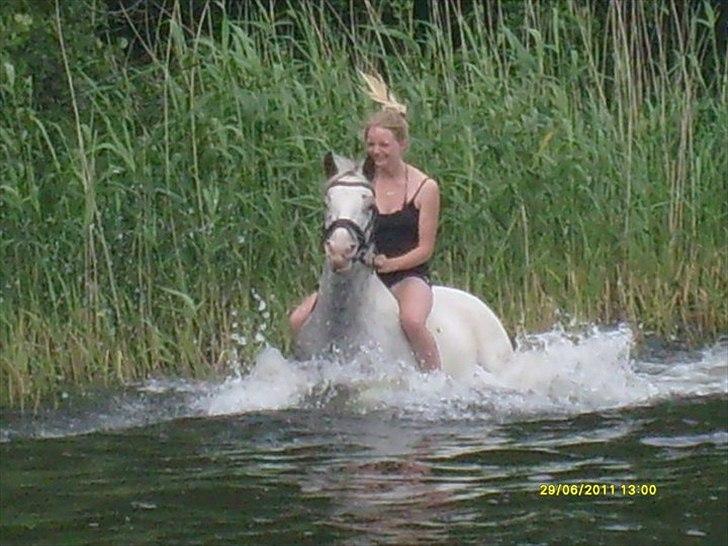 Appaloosa Rachene's Mannie - Vi svømmer sammen gennem vandet, min søde søhest :-)
- østerlund ridelejr billede 15