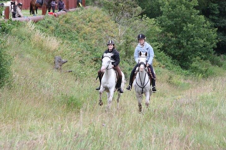 Appaloosa Rachene's Mannie - En dejlig galop er noget vi begge elsker <3  billede 16