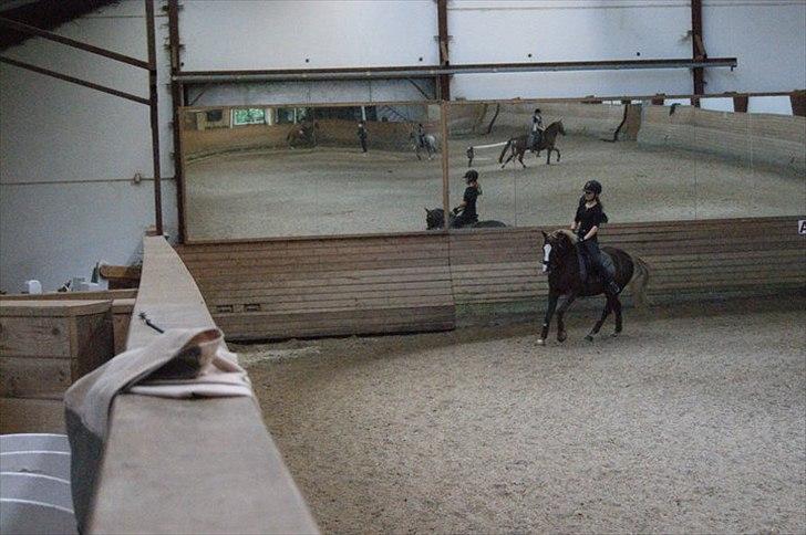 DSP Skovlyst´s Nikita <3 - Dressur træning d.9.8.11<3 billede 10