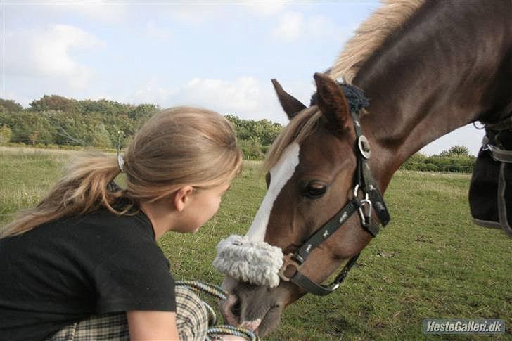 DSP Skovlyst´s Nikita <3 - Skovlyst's Nikita<3 billede 13