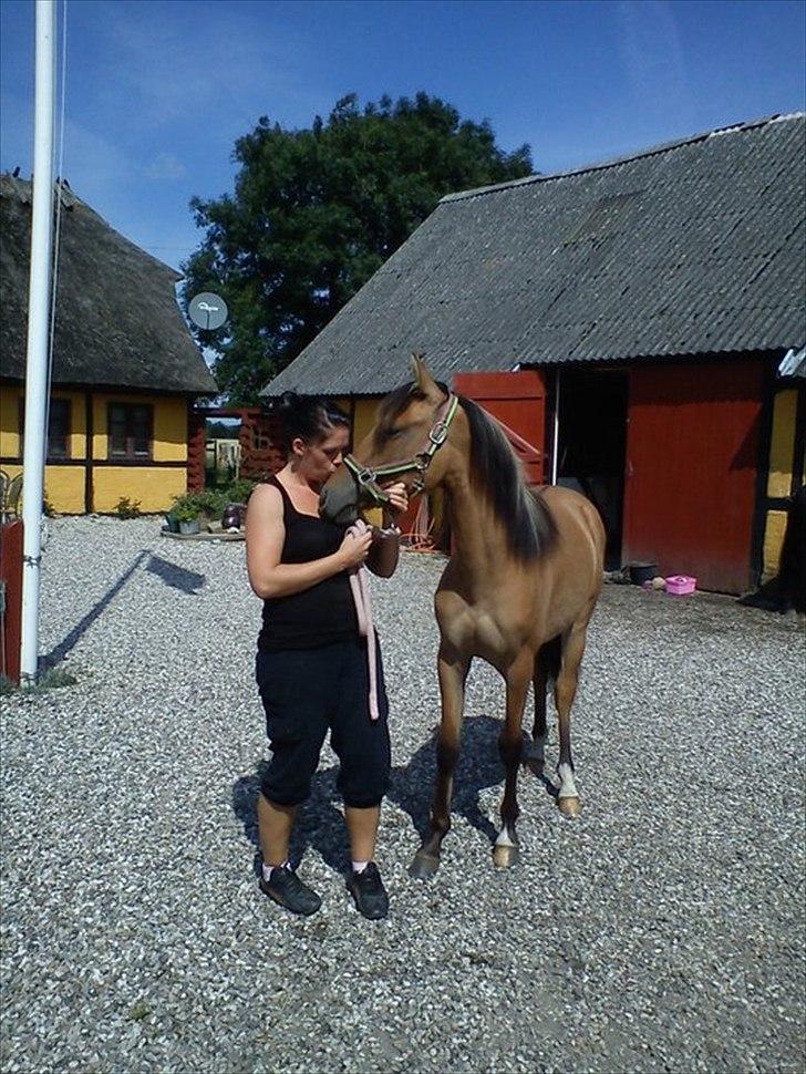 Anden særlig race Unica star billede 18