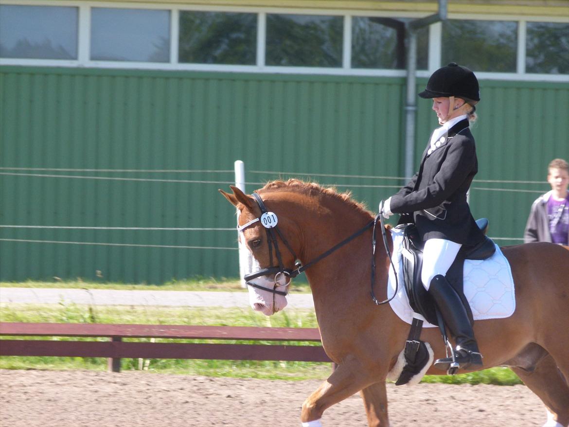 Anden særlig race Stitch billede 12