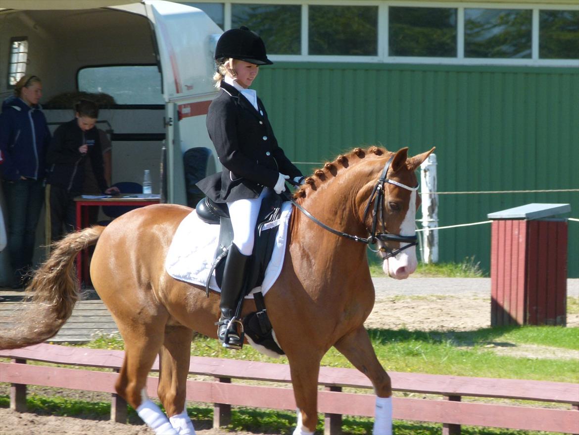 Anden særlig race Stitch billede 13