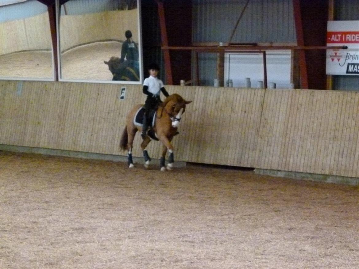 Anden særlig race Stitch billede 15