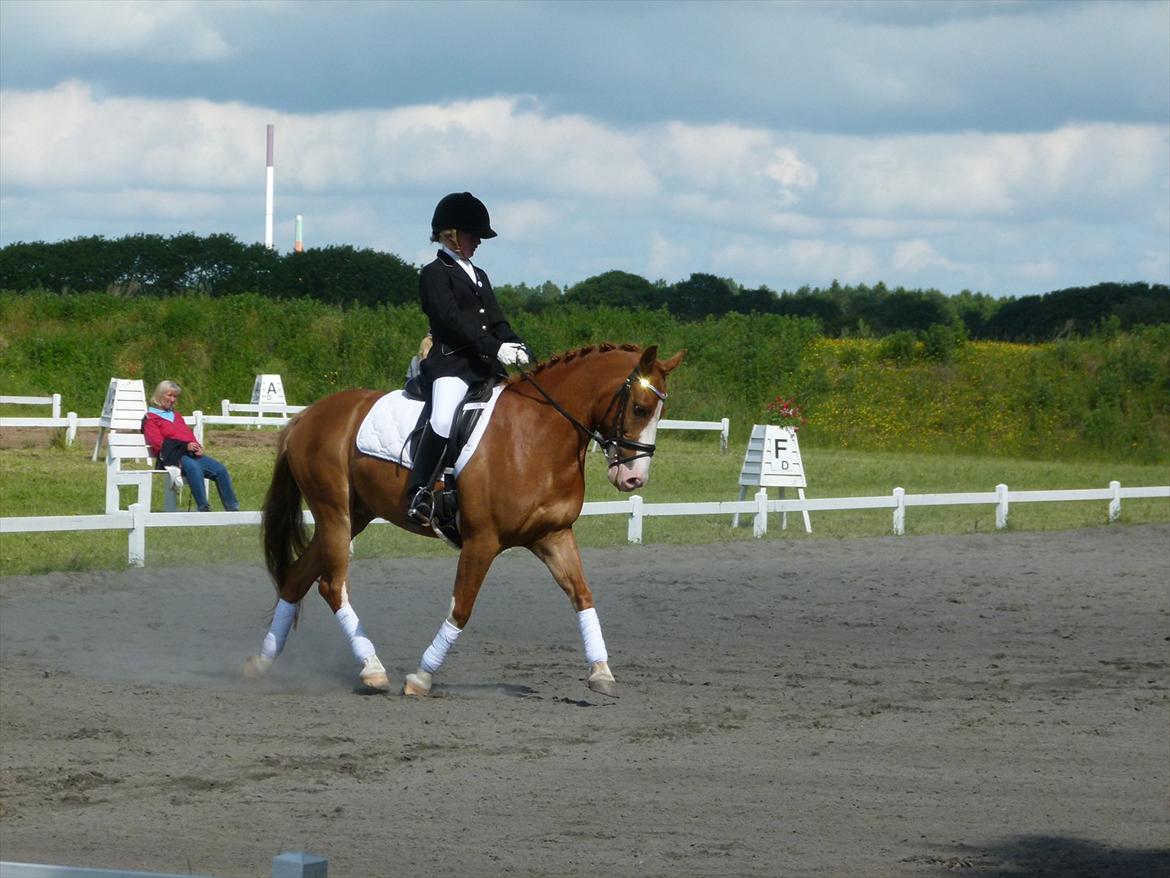 Anden særlig race Stitch billede 16