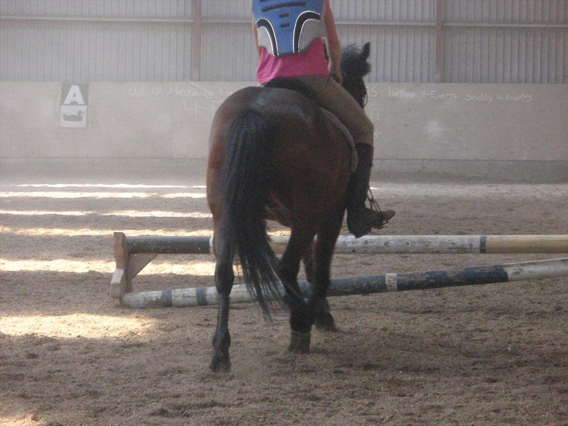 Anden særlig race lucas kahlua - i miss you.. billede 9