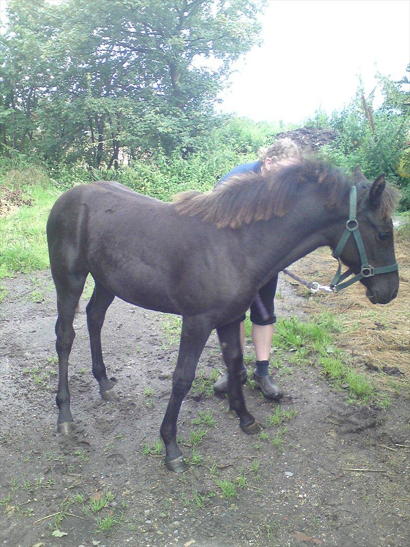 Anden særlig race  Annabell billede 18