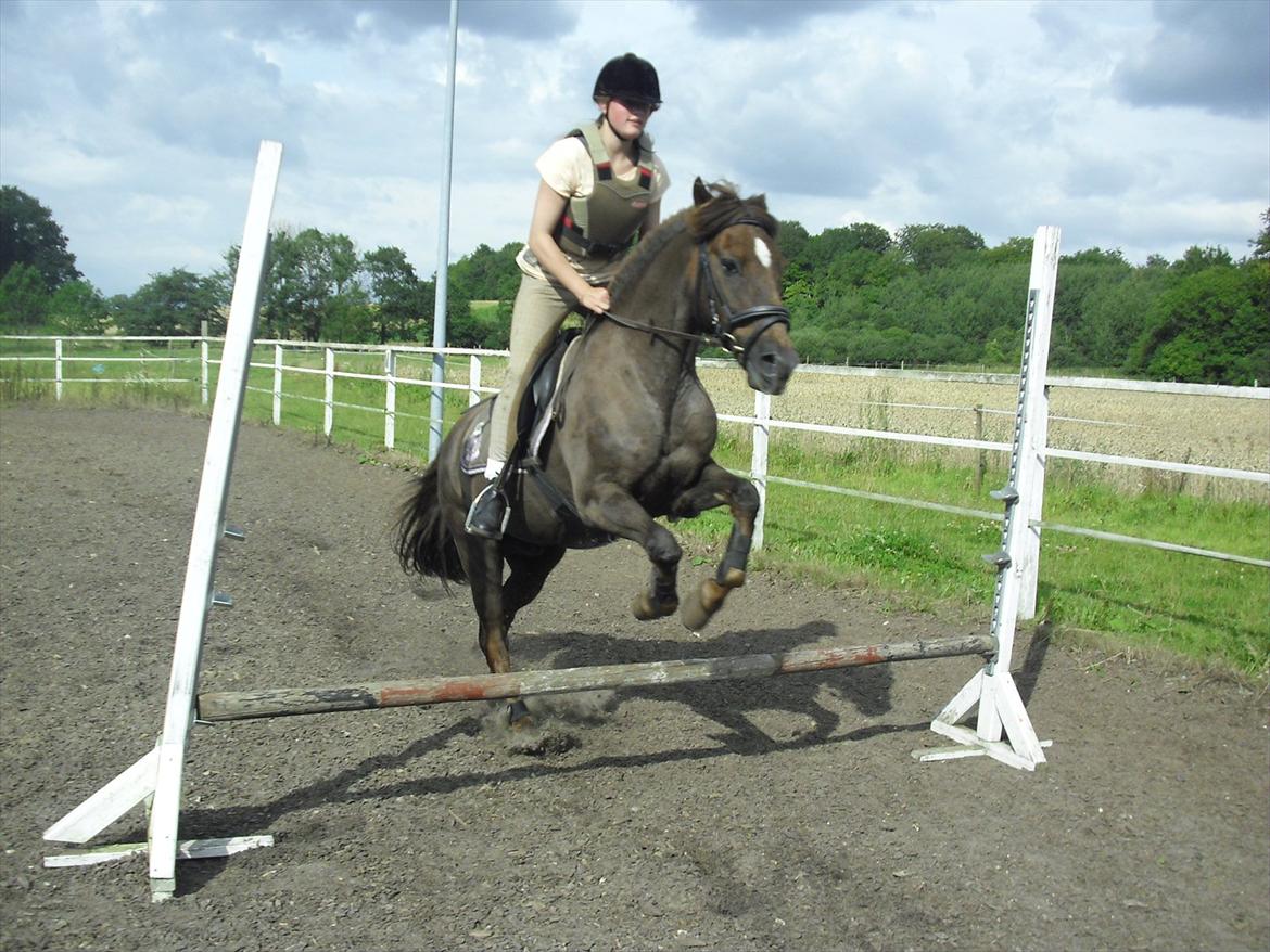 Hollandsk Sportspony KING<3 - King springer!!!:) billede 14