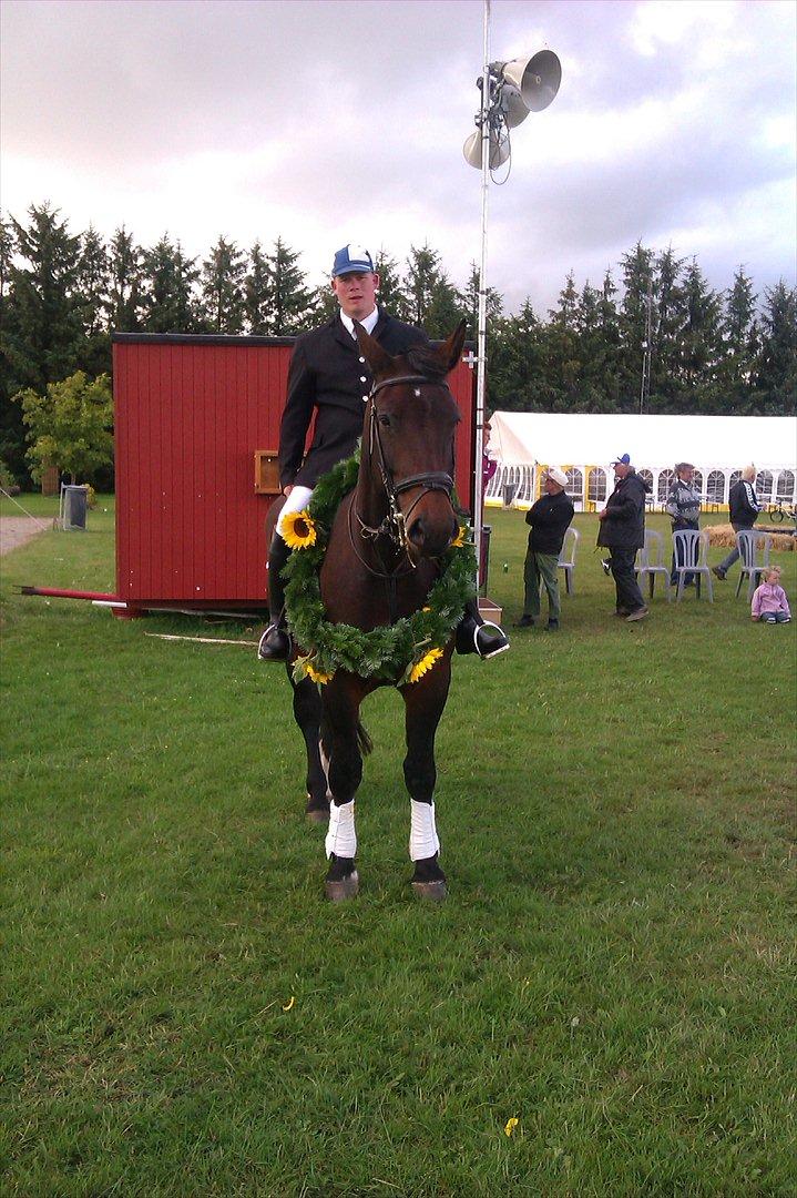 Schweres Warmblut Sophie - Sophie og Rasmus ringridning Nr. Hostrup d. 7/8 2011 nr. 1 i aldersklasse billede 17
