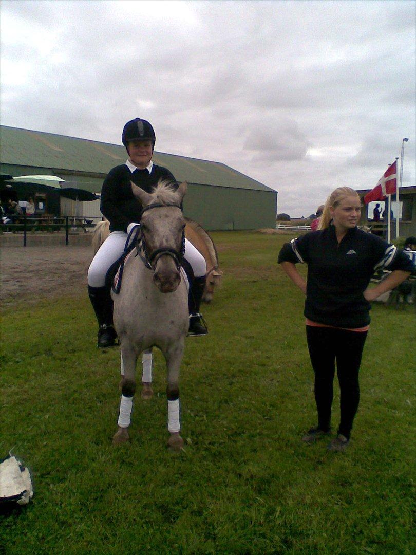 Knabstrupper Candy<3 Aka. Pony! tidl. hest - Candy og jeg til vores første stævne<3   
- Vi venter spændt på at skulle på dressurbanen:D<3 billede 1