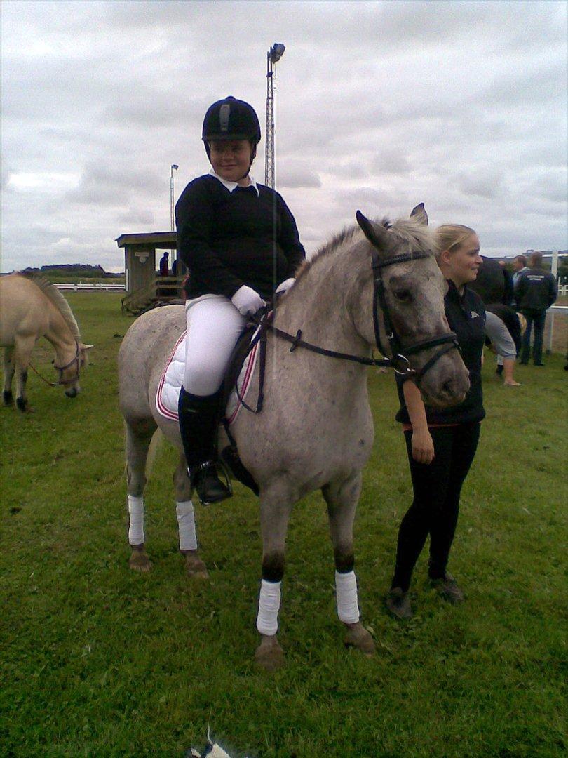 Knabstrupper Candy<3 Aka. Pony! tidl. hest - Stævne.<3 billede 3