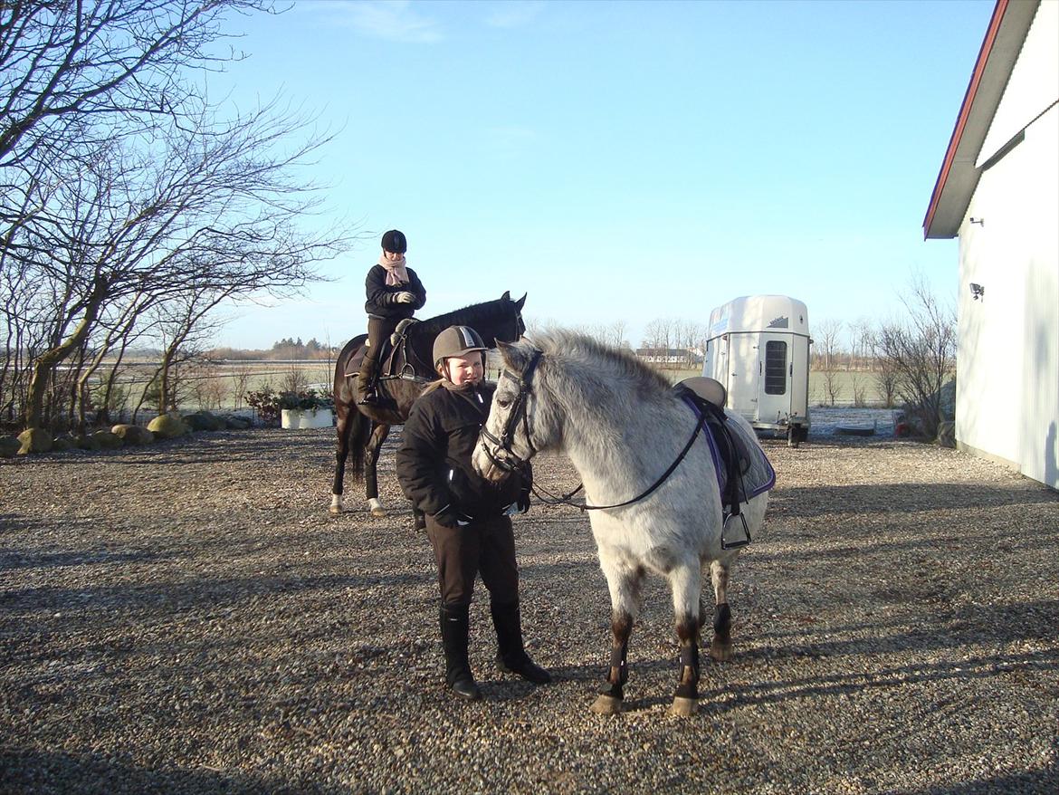 Knabstrupper Candy<3 Aka. Pony! tidl. hest - På vej på tur<3 billede 11