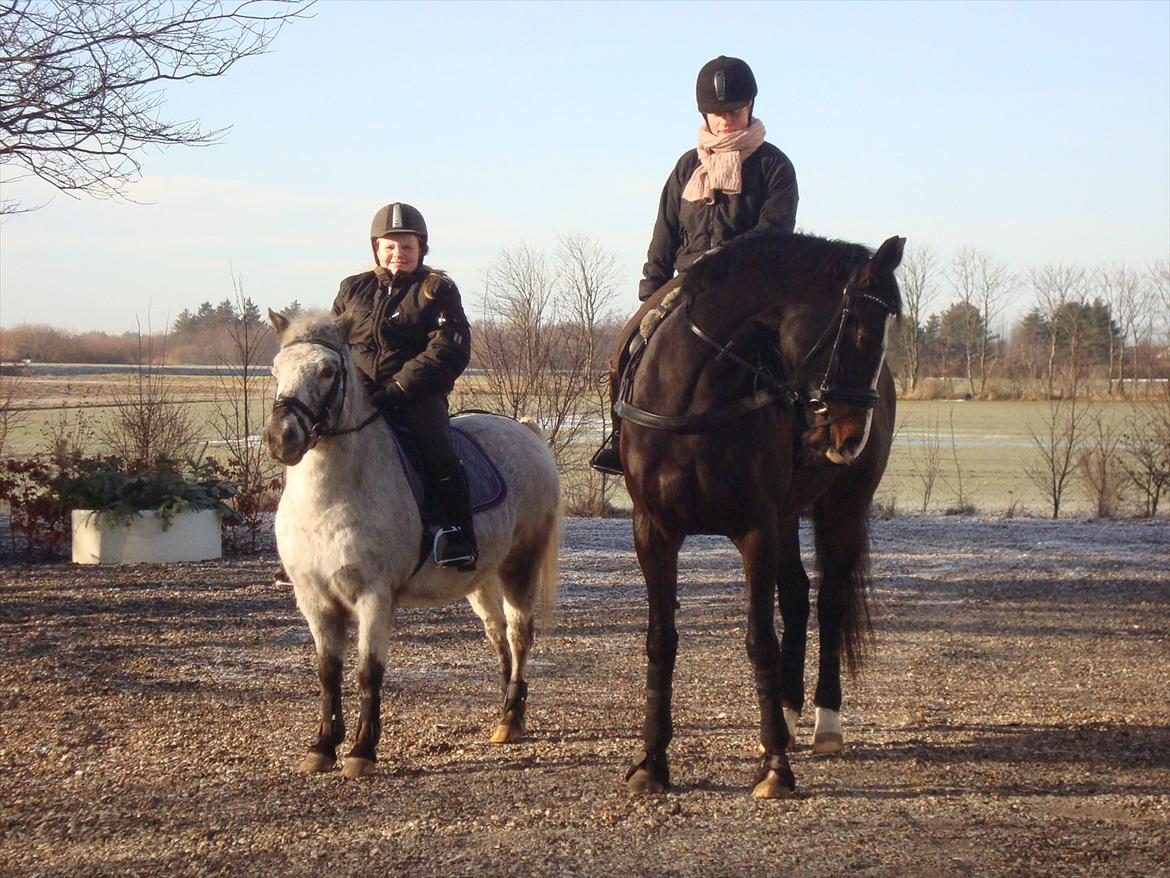 Knabstrupper Candy<3 Aka. Pony! tidl. hest - Ditte og jeg på vej på tur<3 billede 12