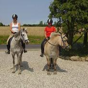 DSP Ll. Sludekildes Hale Bopp