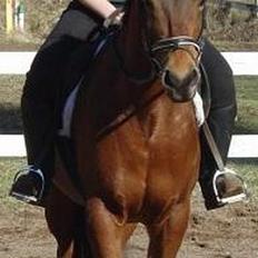 Anden særlig race April *Min fedtemås*