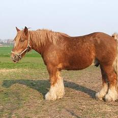 Jyde Tumling