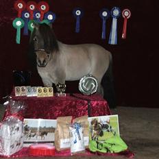 Dansk Miniature Katrinesmindes Boogiemann