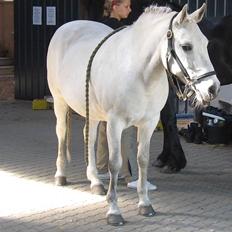 Connemara Birkely Claire