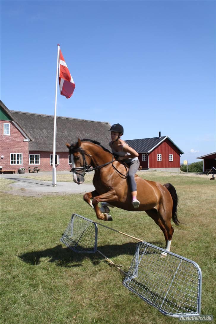 DSP Sønderlund Sharon - Spring på fanø, ved jeg sidder klamt, men sådan er det xD fanø sommeren 09. billede 13