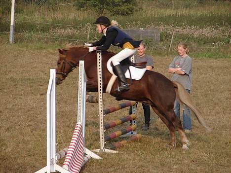 Anden særlig race Smoky - Beds far springer med stil billede 1