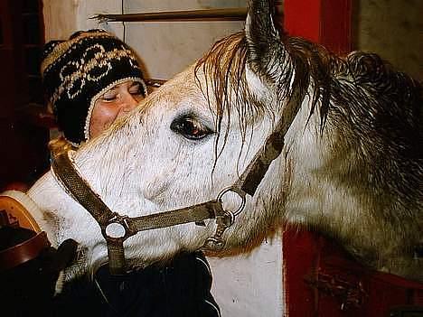 New Forest Nero - man er vel en kælegris billede 10