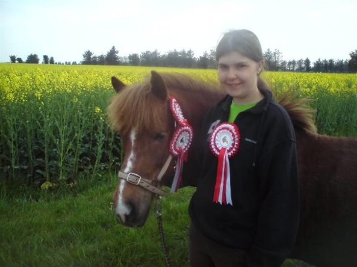 Islænder Sandra fra Gl.Essendrup SOLGT - Vinder billede :D billede 2