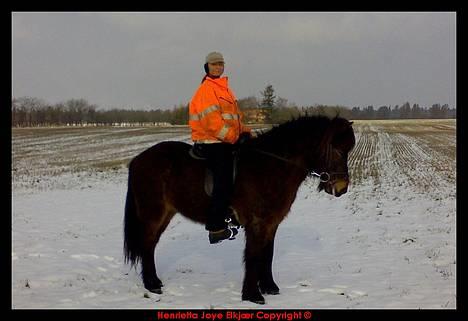 Islænder Ægir Frá Efri-Sumarliðabæ - Ride tur d.6.Februar 2007 billede 7