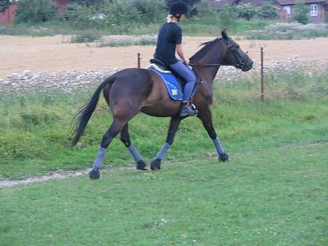 Traver Elliot Swing (Fjot) Død) - Fjot og Trine 9-8 2006 billede 12