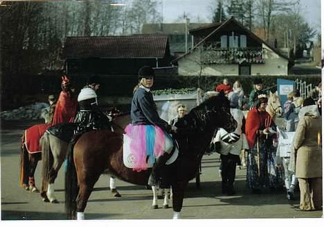 New Forest Starlight - festalavn  billede 8