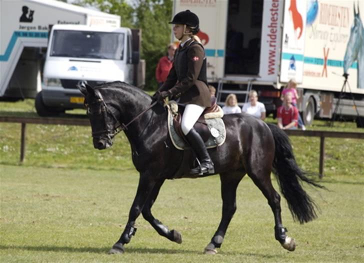 Connemara Royal Peanut - Solgt :'(  - Peanut og mig til baltic cup i ikast 2007 .. Foto: Anne Halskov billede 2