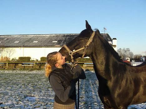 Connemara Royal Peanut - Solgt :'(  - Jeg får aldrig nok af den dejlige pony<3 Foto: Caroline Heiss billede 3