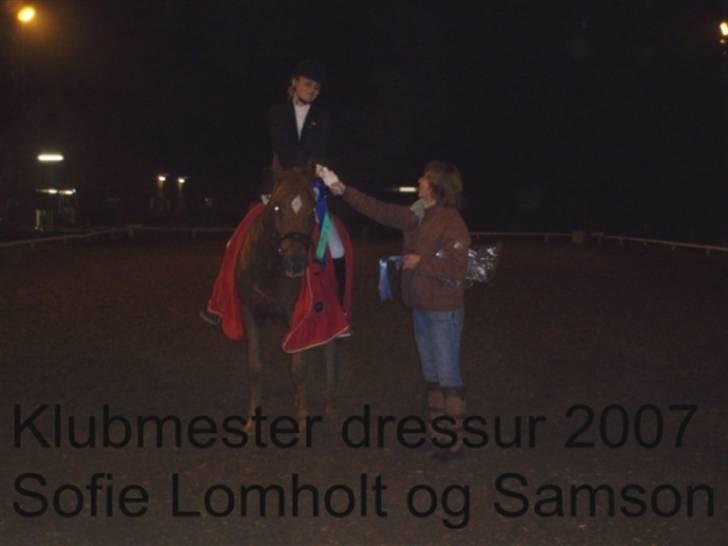 DSP Samson  (solgt) - vinder af klubmesterskabet hest dressur 2007 billede 10