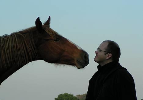 Frederiksborg Eislinn - Så er der hestemøzzer til alle! her går det udover min kæreste billede 3