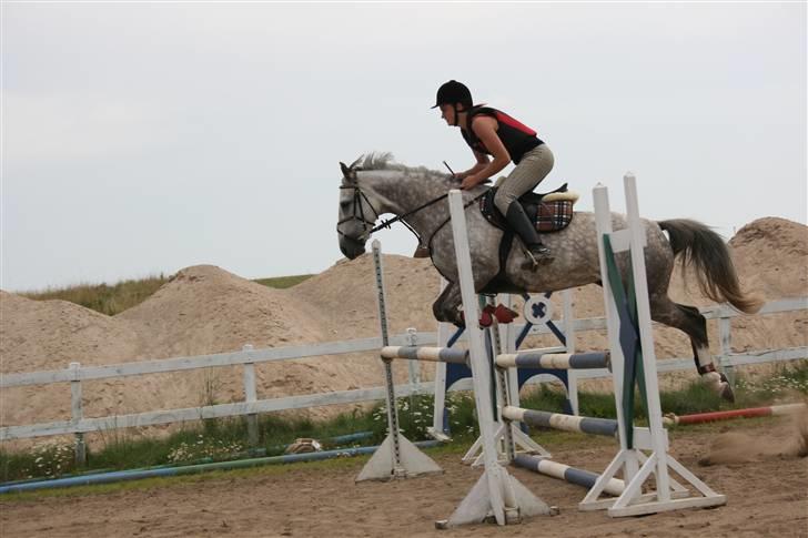 Anden særlig race Dancing Daisy ! !SOLGT! ! - Springer 1m ;) Daisy siger " Det her er nemt " Foto: Far billede 12