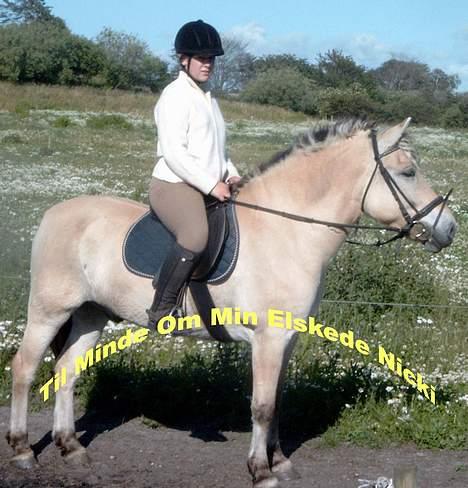 Fjordhest Nicki *Død* - Mig og Nicki billede 7