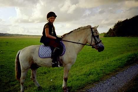 Fjordhest Nicki *Død* - Henry rider på ham.. billede 8