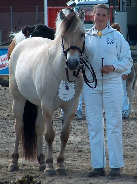 Fjordhest Fea Strødam  - Fea Strødam 3 års Roskilde Dyrskue 2006 billede 3