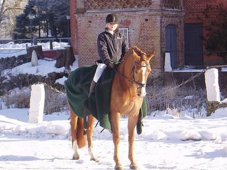 Dansk Varmblod Cathila - Thila og Mig til stævne på Broholm billede 4