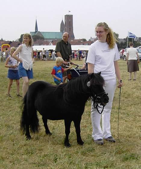 Shetlænder Isabella- Død  - Dyrskue Ribe 2006 billede 14