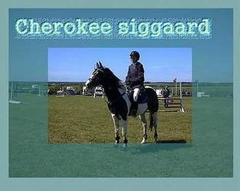 Paint † Cherokee siggaard † billede 15