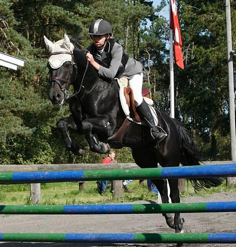 Connemara Royal Peanut - Solgt :'(  - MIN dejlige Peanut <33 Til stævne på kallehavegaard! Taget af Anne Halskov! billede 7