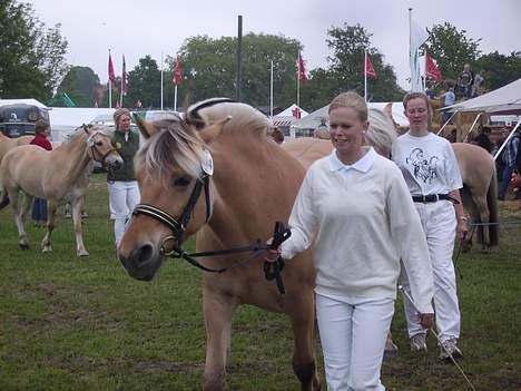 Fjordhest Luna - Luna og jeg på det fynske dyreskuret 2006 hvor hun fik 22 point billede 14