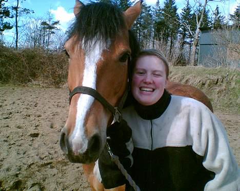 Anden særlig race Rocky (SOLGT) billede 1