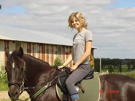 Anden særlig race Django<3 gammel pony ;/  - muhaha x´D <´33 billede 9