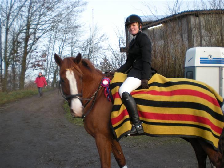 Dansk Varmblod Sophia *RIP* - Farstrup Nov 2009 billede 11