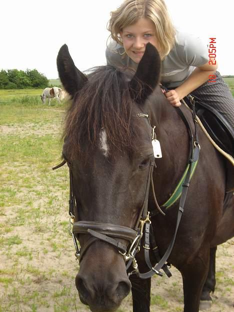 Anden særlig race Django<3 gammel pony ;/  - håhå x´D elsker ham sku <´33 billede 11