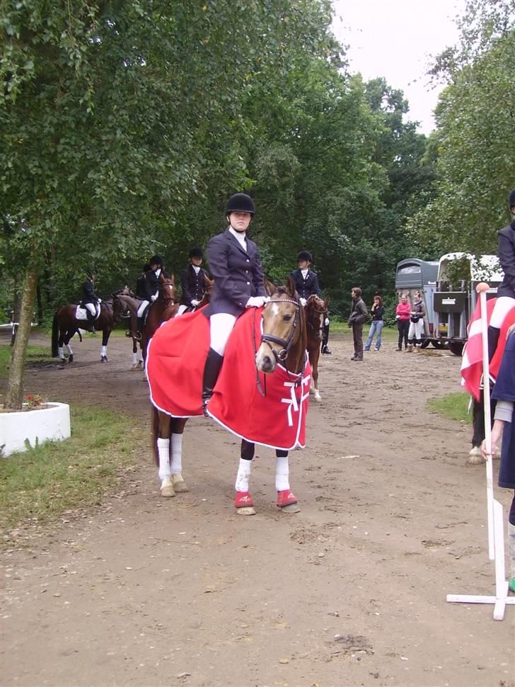 Anden særlig race Mitsy - bianca, du er langsom..  ;b billede 13