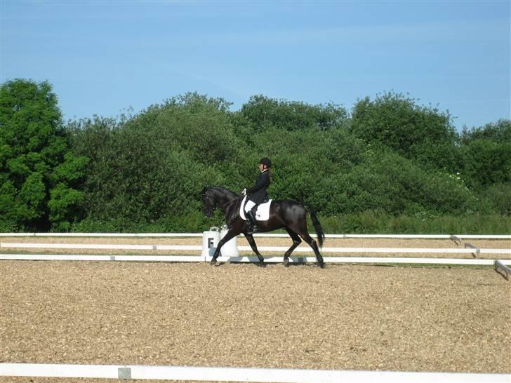 Anden særlig race Horse-Wear's Oktober - mig og Oktober i vejle, i La3. vi blev nummer 3, med 68 % <3 dejlig pony :) gi endelig en kommentar, og stem i hans udfordringer :) billede 1