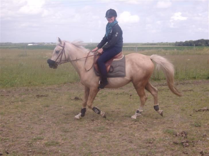 Anden særlig race golden hero SOLGT :'( <3  - dygtige dreng  billede 7